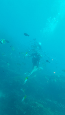 20180620_092242.jpg